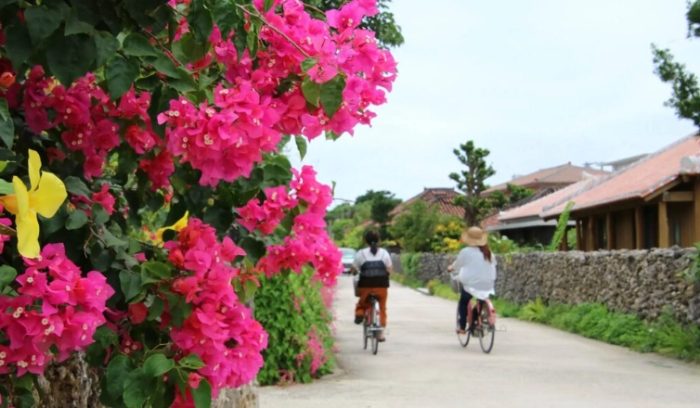 竹富島