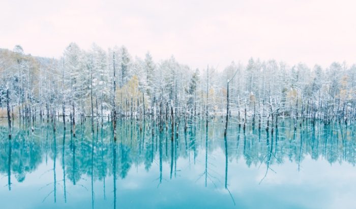 北海道自駕遊