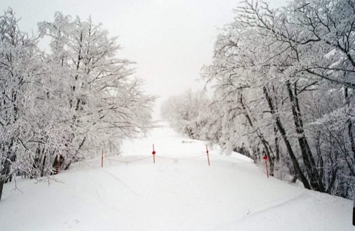 斑尾高原滑雪場