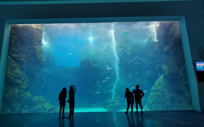 水族館桃園