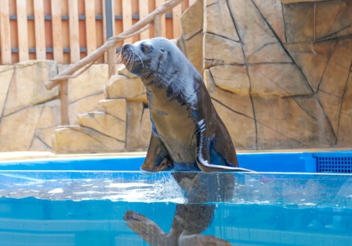 水族館桃園