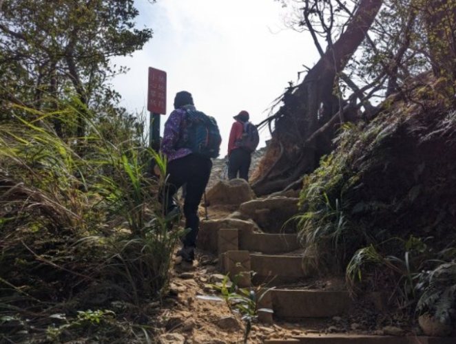 北得拉曼巨木步道